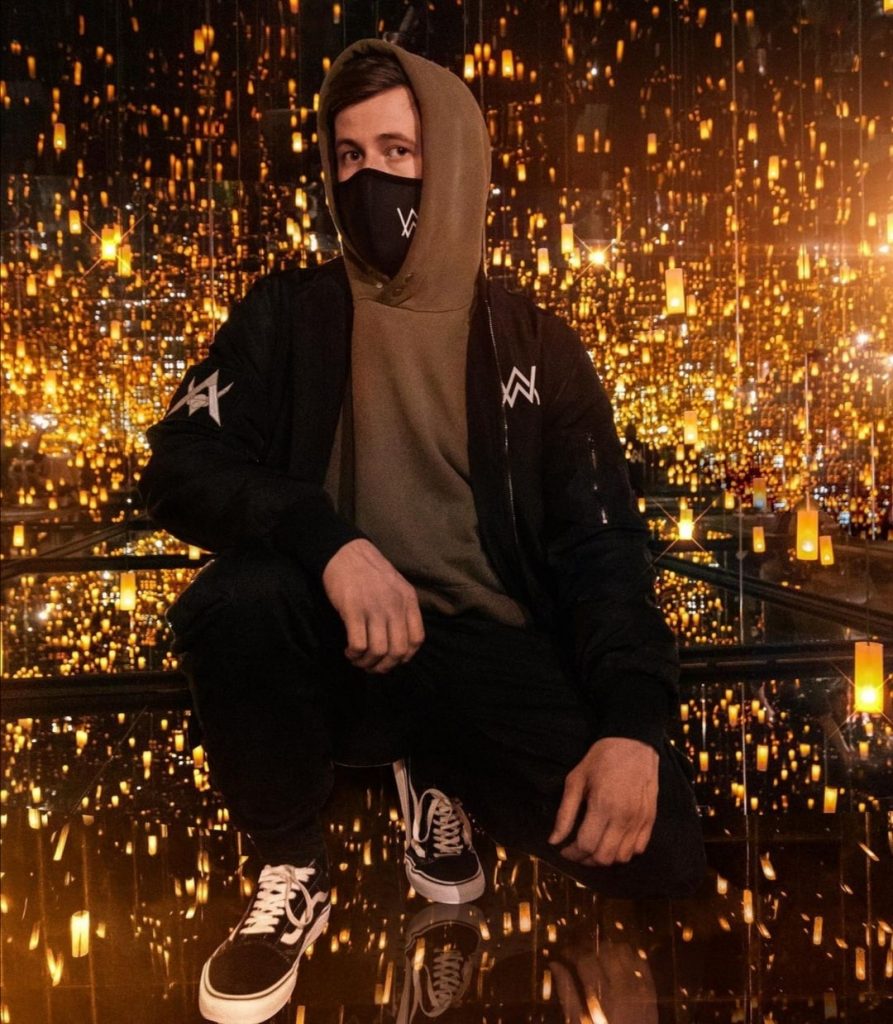 Alan Walker Net Worth