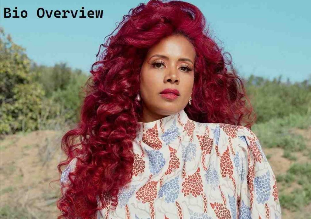 Kelis Net Worth