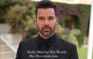 Ricky Martin Biography, Career