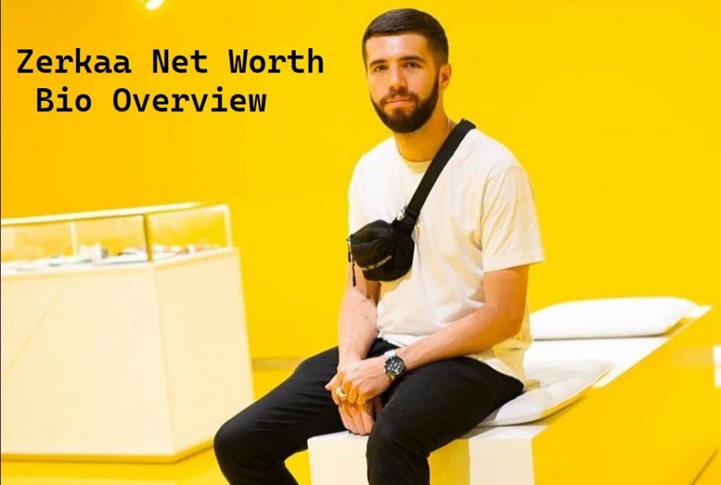 Zerkaa Net Worth