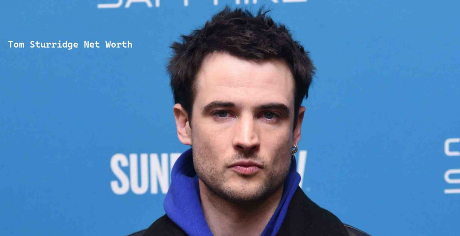 Tom Sturridge Net Worth