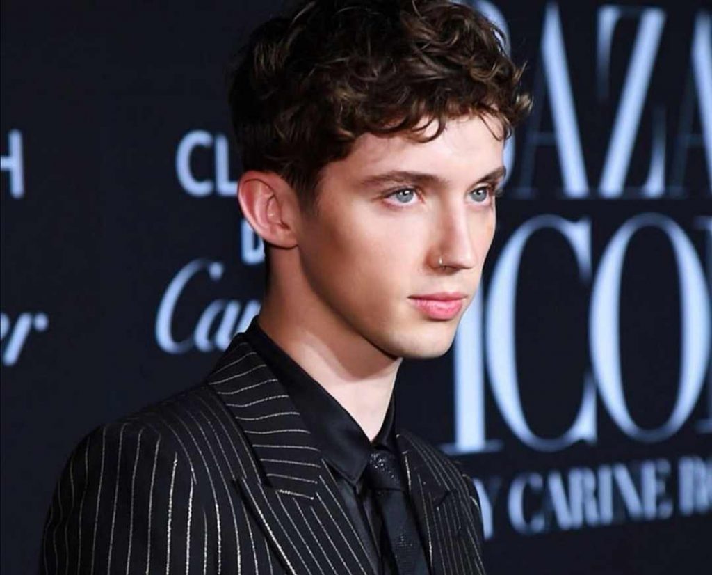 Troye Sivan Net Worth